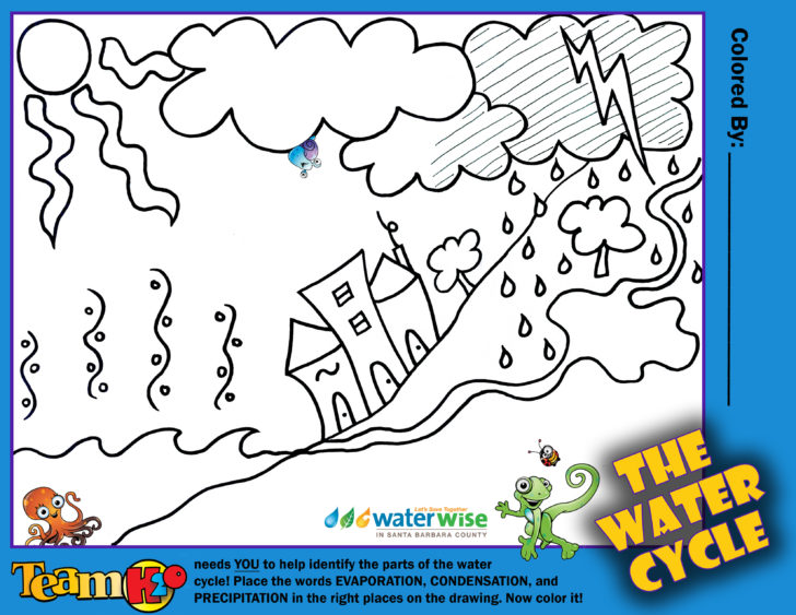 Water Cycle Worksheet Pdf