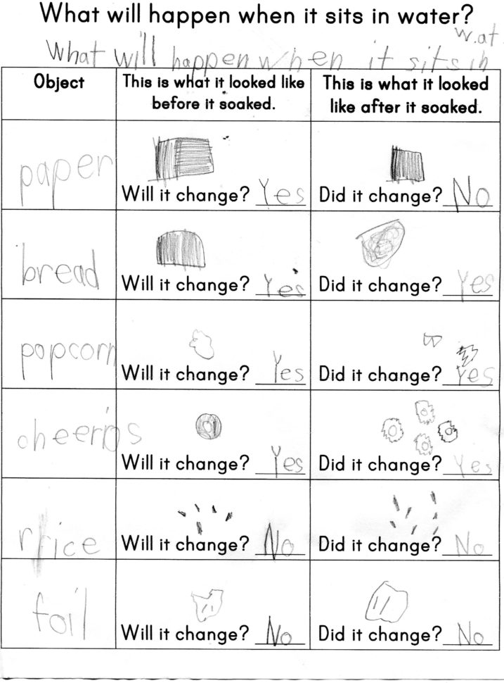 Ter Math  Science Activities For Kids Ages 36  The Measured Mom