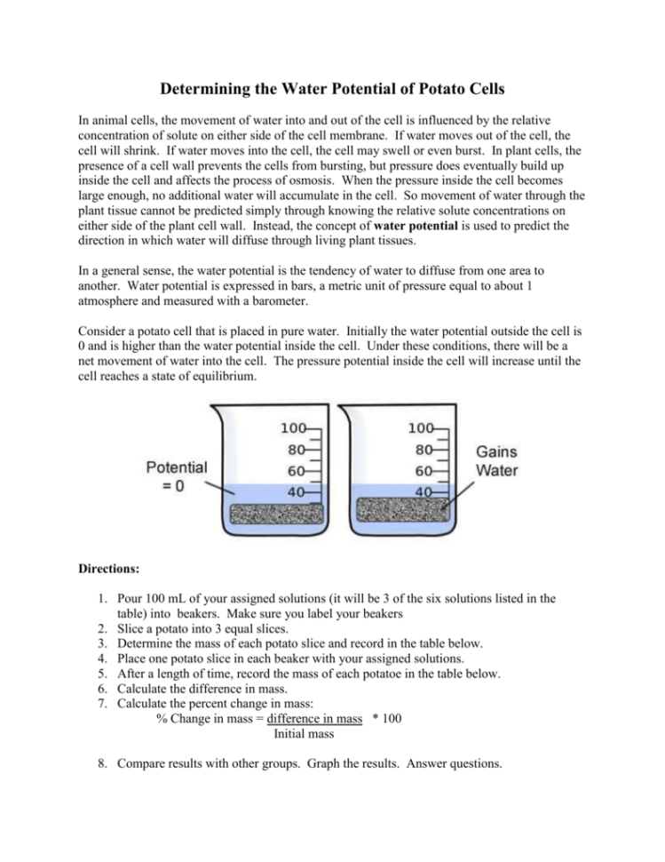 Ter Potential Lab Worksheet