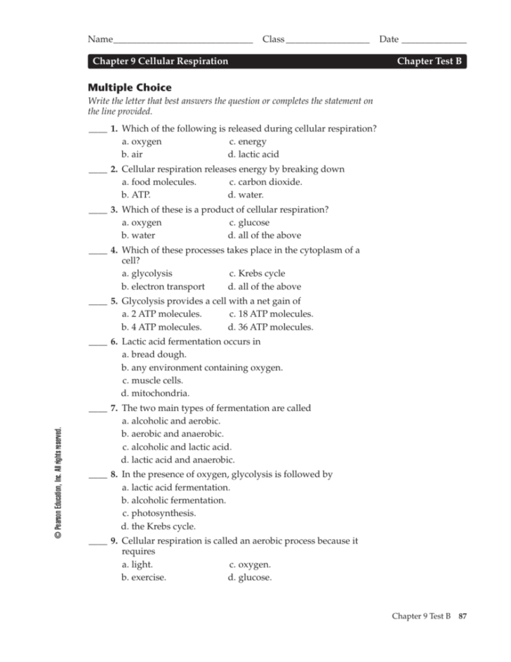 Chapter 9 Review Worksheet Cellular Respiration