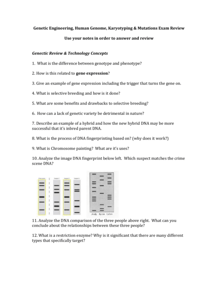 Test Review Worksheet
