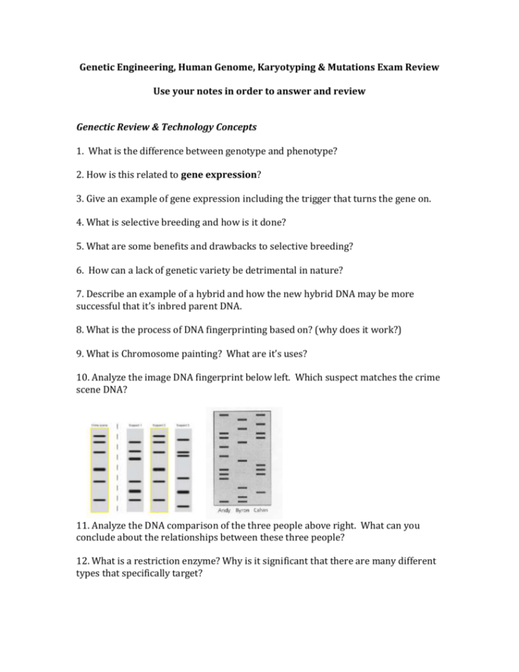 Test Review Worksheet
