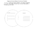 Text Structure Worksheets  Compare And Contrast Elements