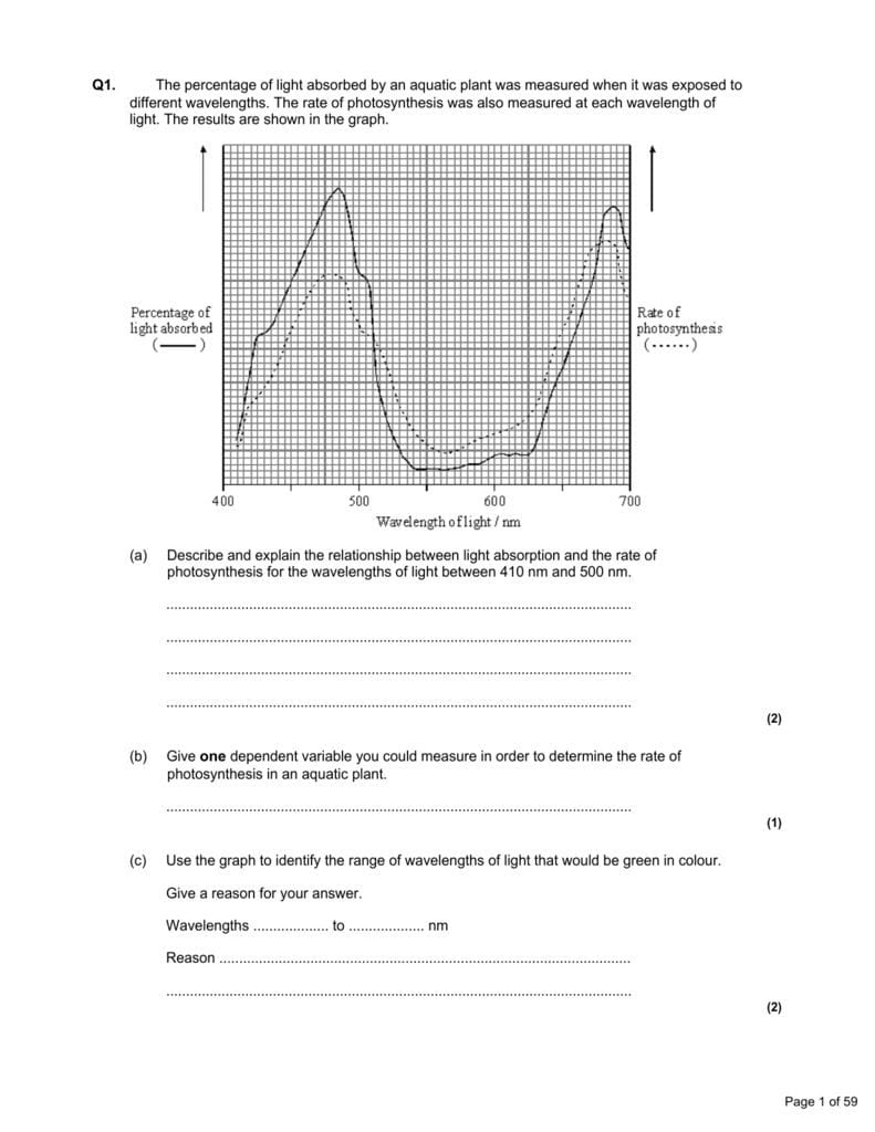 The Absorption Of Lightphotosynthetic Pigments Worksheet