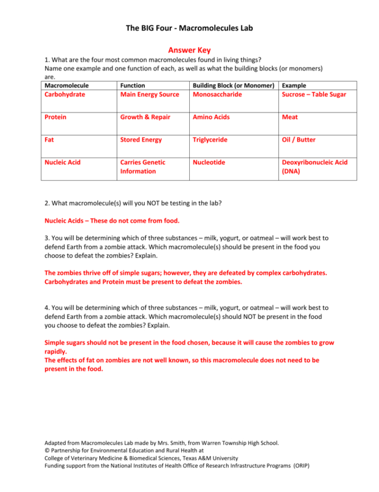 The Big Four  Macromolecules Lab Answer Key 1 What Are The