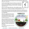 The Carbon Cycle Lesson Plan  Clarendon Learning