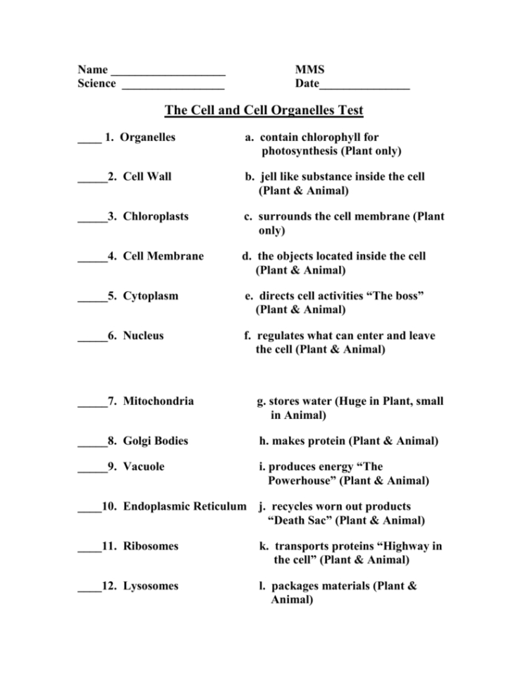 The Cell And Cell Organelles Vocabulary
