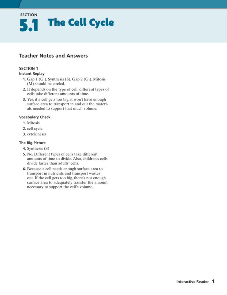 Cell Cycle Vocabulary Worksheet Answer Key