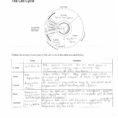 The Cell Cycle Answer Sheet Adolfayress Blog Download Lab 2