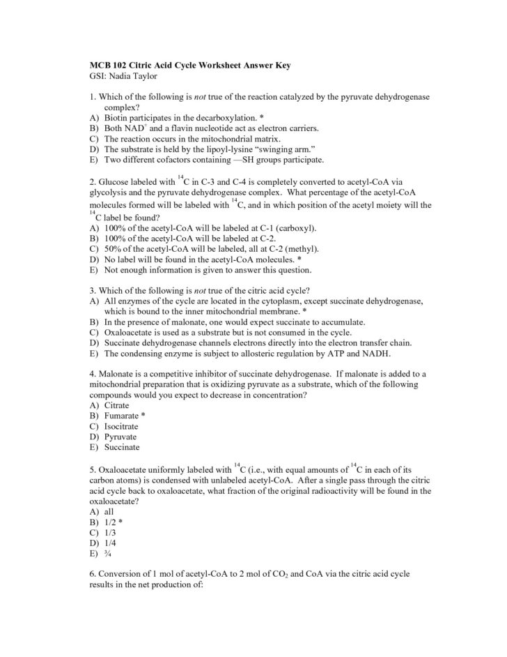 Looking Inside Cells Worksheet Answers