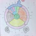 The Cell Cycle Coloring Worksheet Answers Math Worksheets