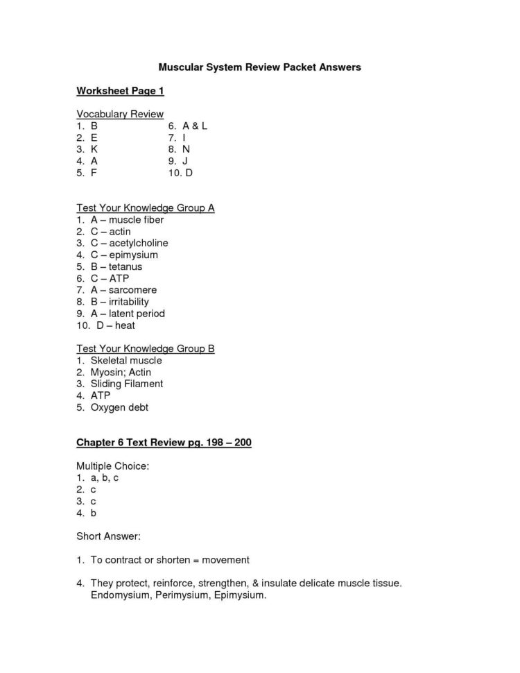 The Cell Cycle Coloring Worksheet Questions Answers