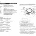 The Cell Cycle Worksheet 650650  The Cell Cycle Coloring