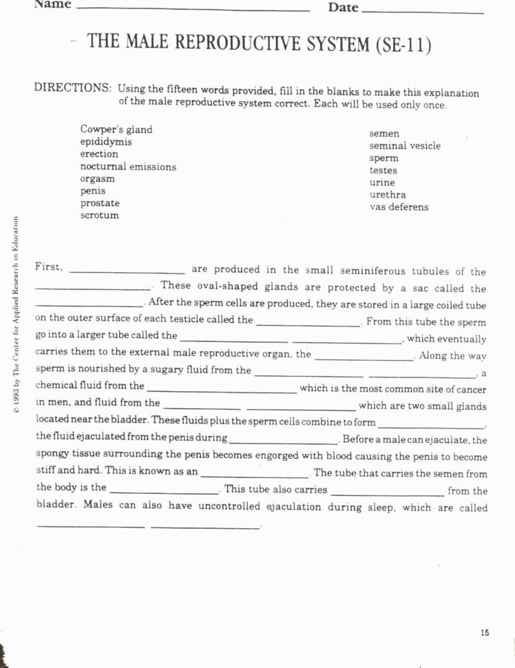 The Center For Applied Research In Education Worksheets