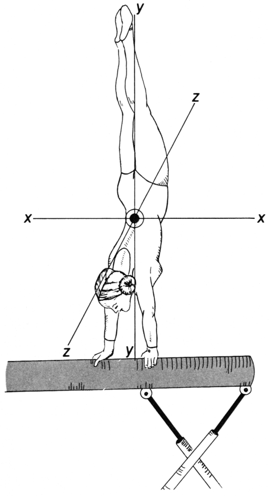 The Center Of Gravity And Stability  Kinesiology Scientific Basis