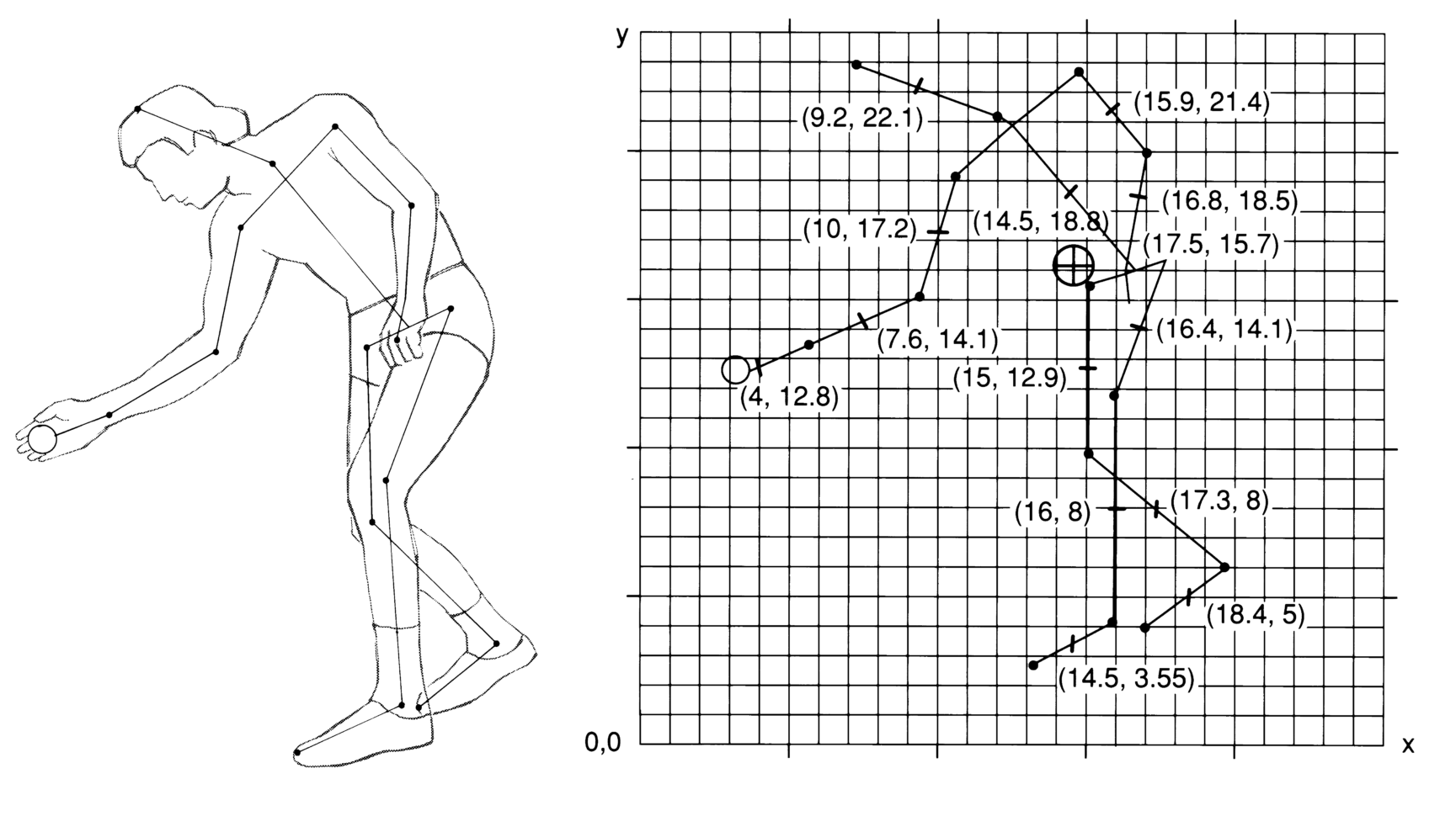 The Center Of Gravity And Stability  Kinesiology Scientific Basis