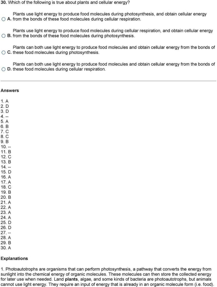 The Century America's Time Shell Shock Worksheet Answers