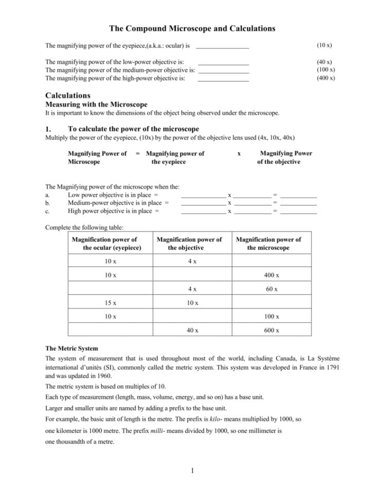 The Compound Microscope And Calculations