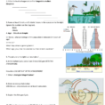 The Ecology Review Worksheet