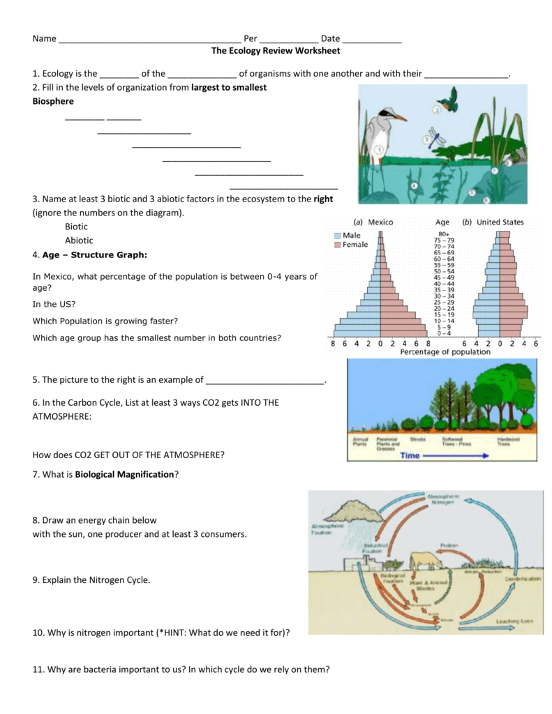 Ecology Review Worksheet 1 E Street Light
