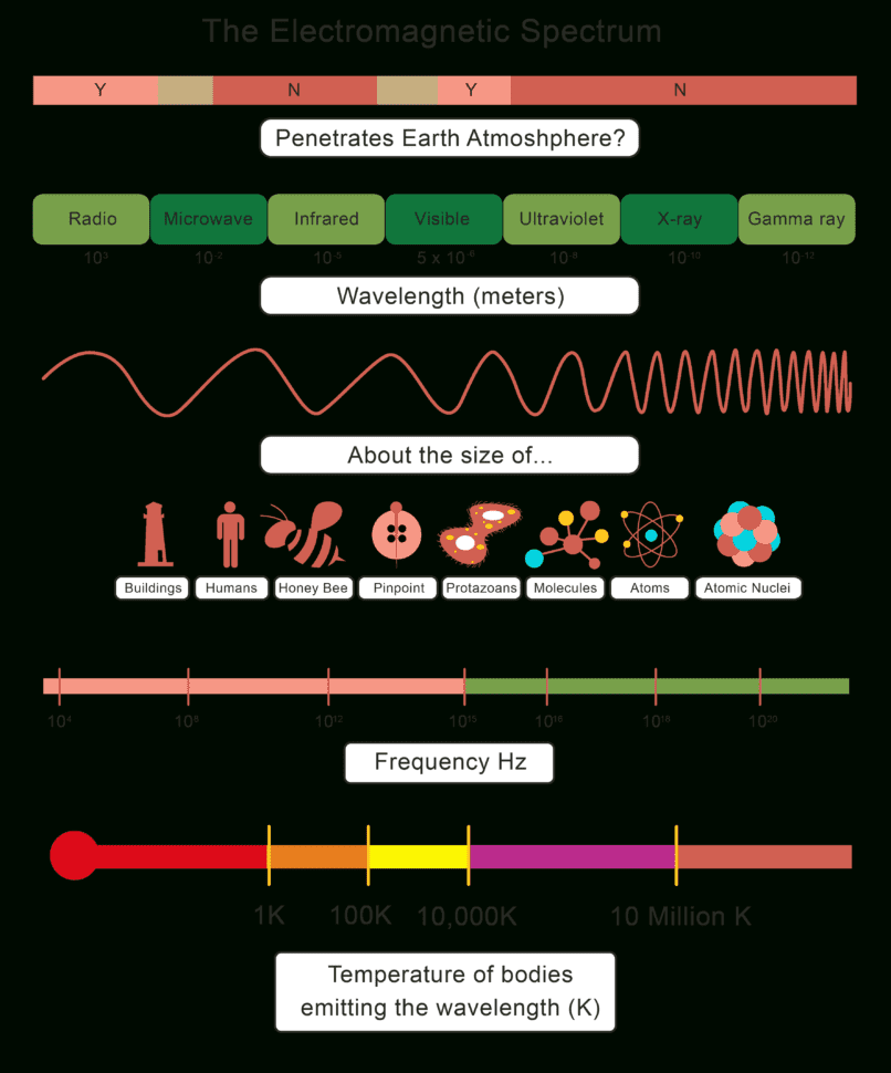 The Electromagnetic Spectrum Worksheet  Edplace