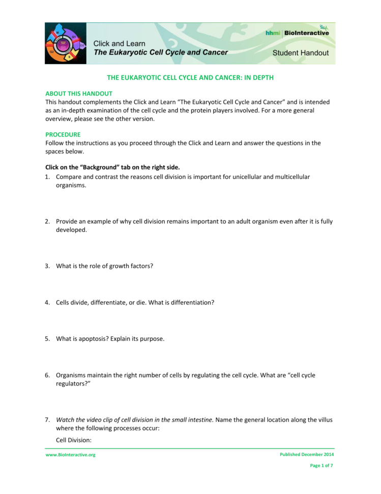 The Eukaryotic Cell Cycle And Cancer