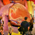 The Giant Heart  The Franklin Institute Science Museum