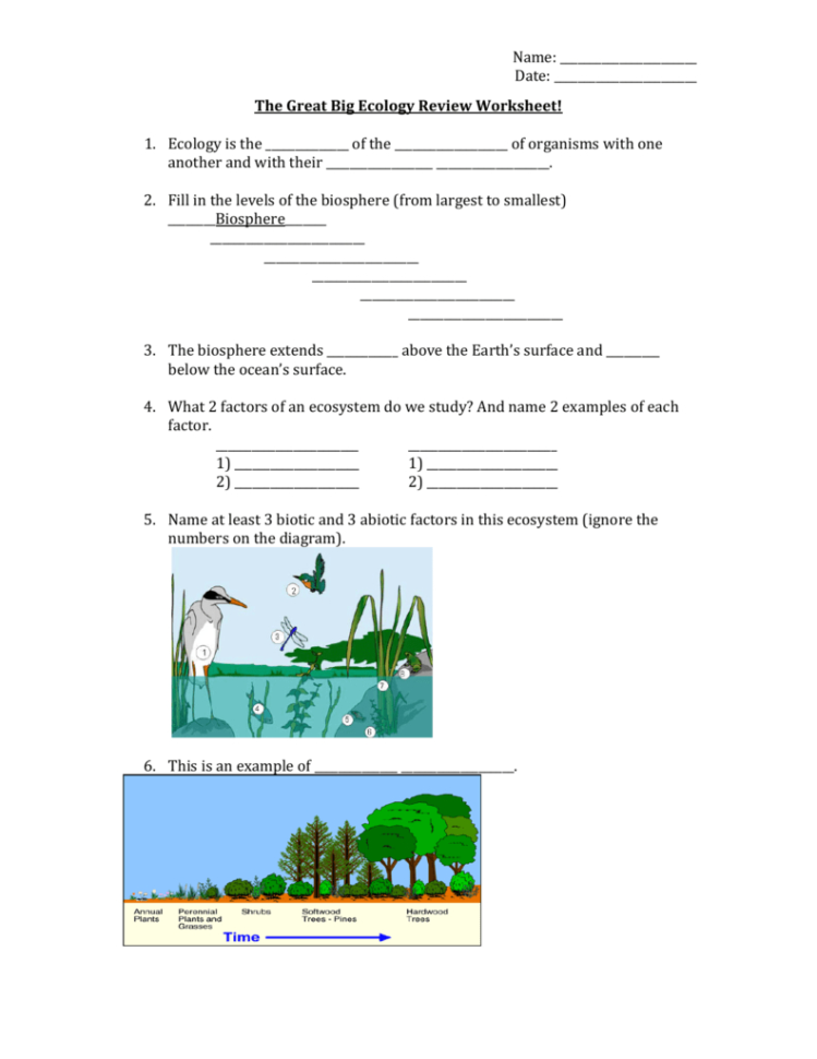 The Great Big Ecology Review Worksheet