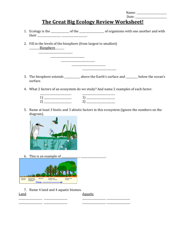  Ecology Review Worksheet 1 Db excel