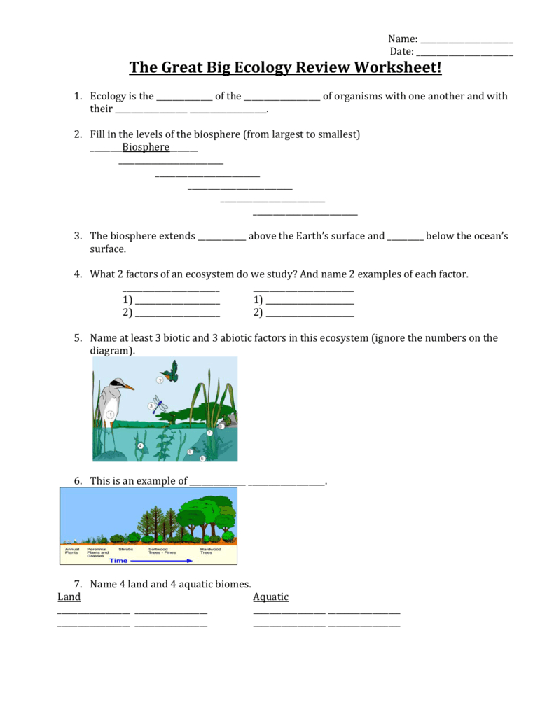 The Great Big Ecology Review Worksheet