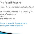 The History Of Life Chapter Ppt Download