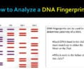 The Human Genome Project  Ppt Download