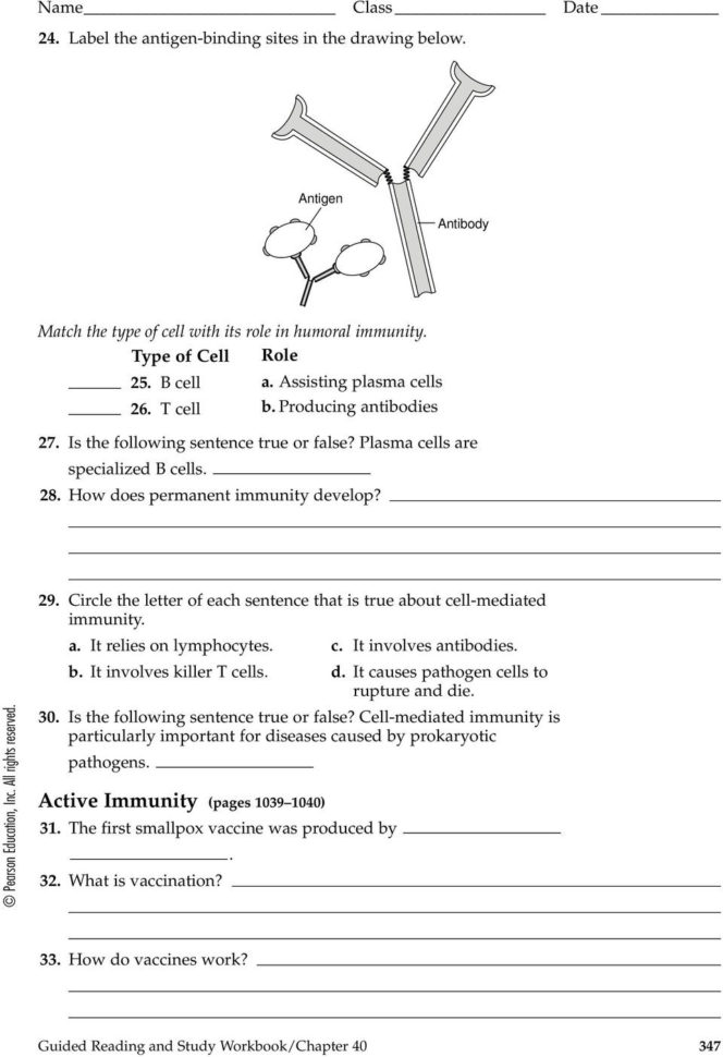The Immune System And Disease  Pdf