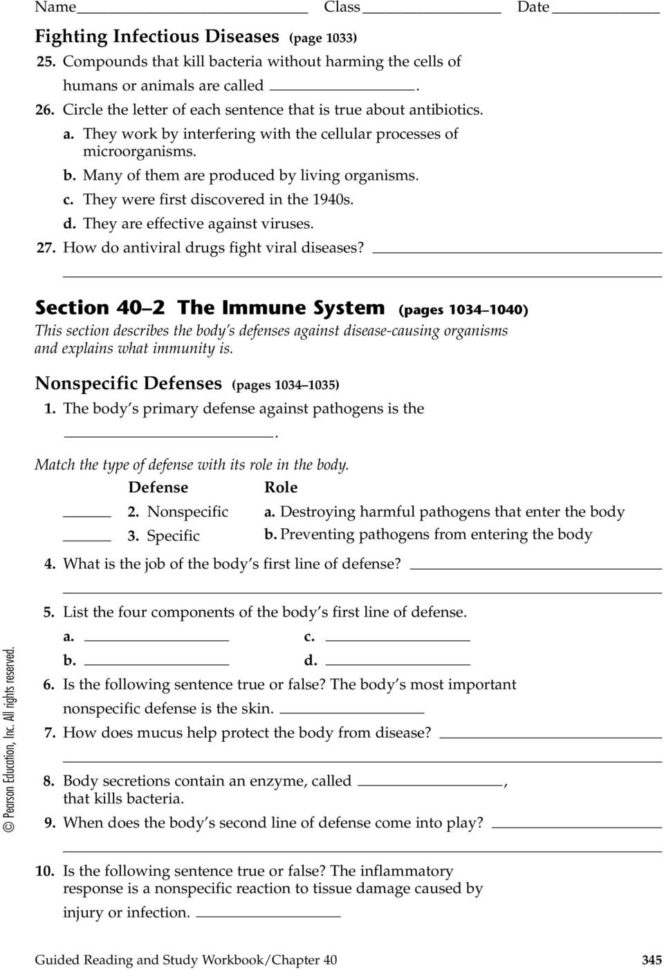 The Immune System And Disease  Pdf