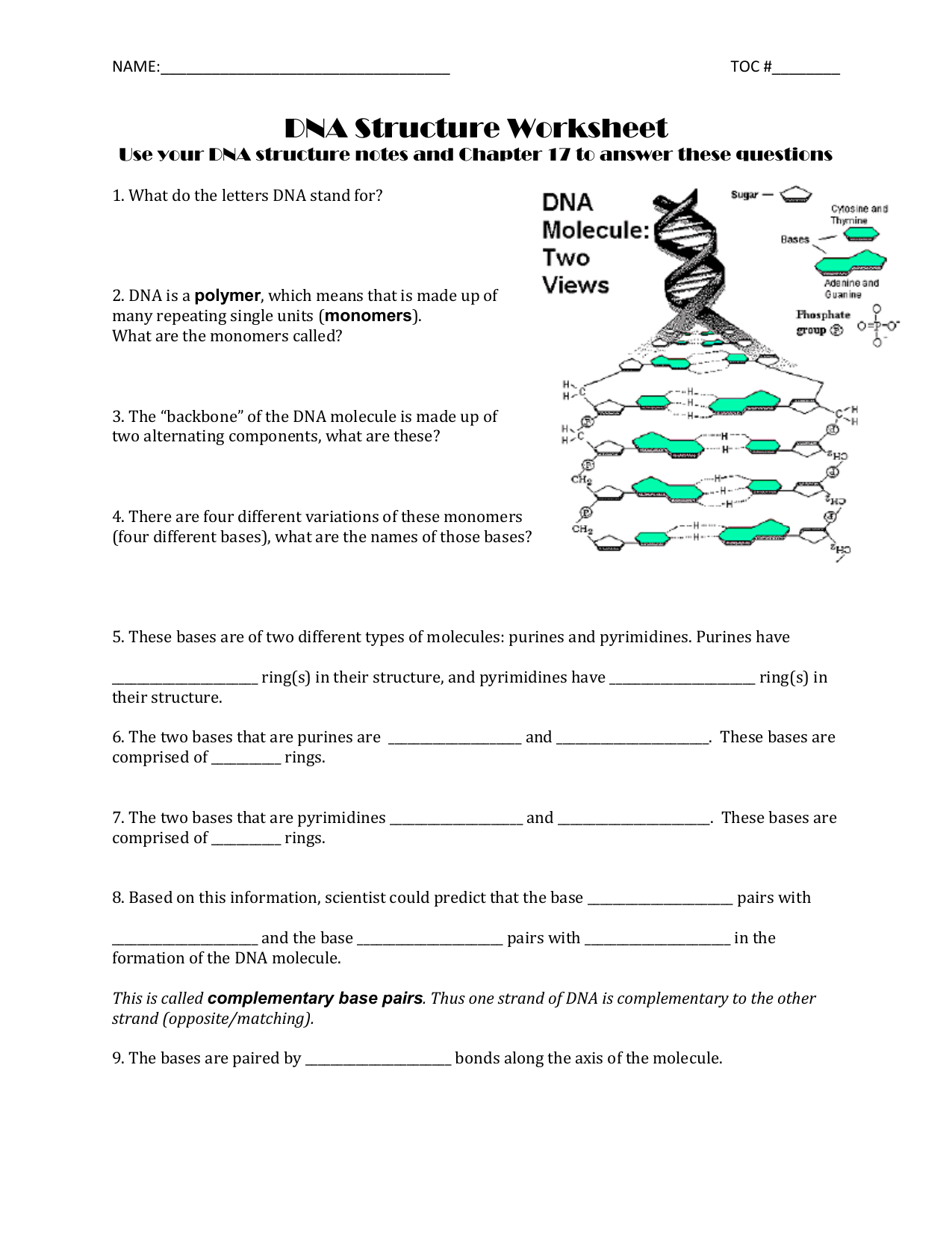 The Letters Dna Stand For Worksheet Answers  Mamiihondenk
