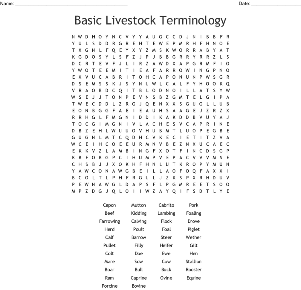 the-livestock-industry-worksheet-answers-db-excel