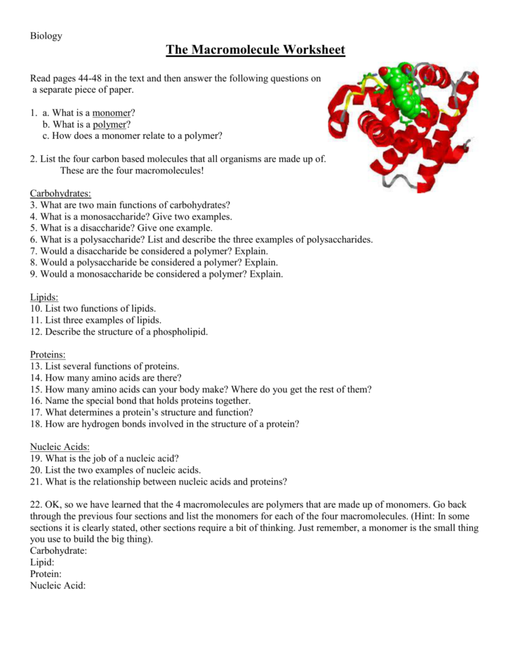 Nucleic Acids Worksheet