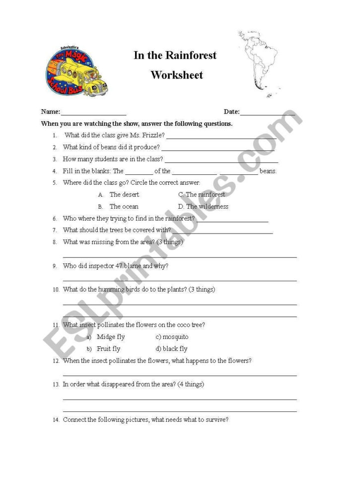 The Magic School Bus In The Rainforest  Esl Worksheet