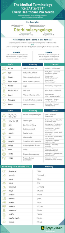 The Medical Terminology “Cheat Sheet” Every Healthcare Pro — db-excel.com