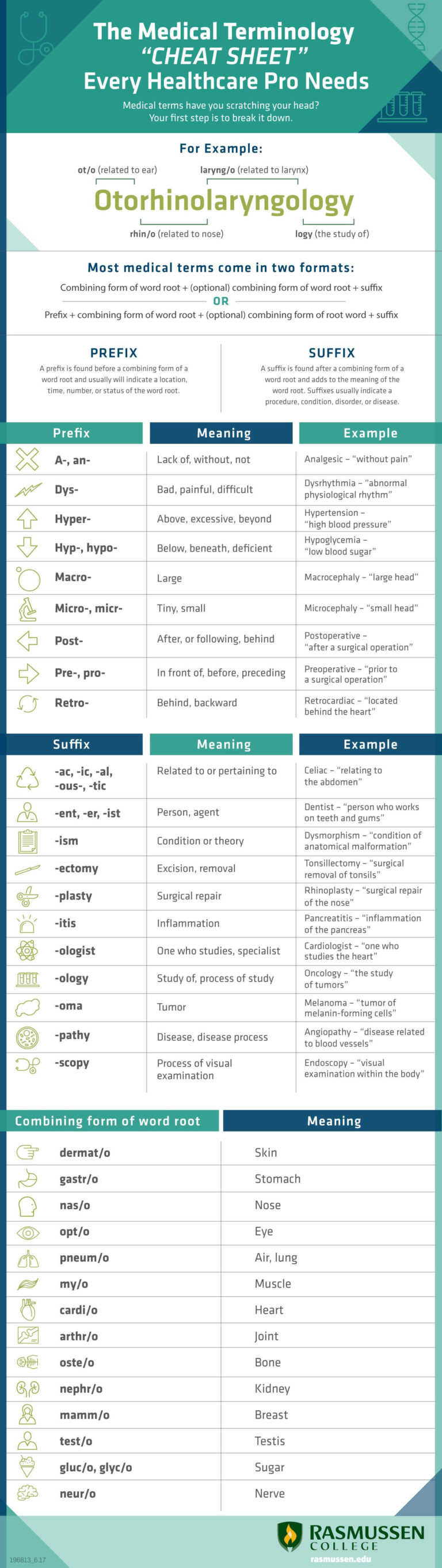 The Medical Terminology “cheat Sheet” Every Healthcare Pro — Db