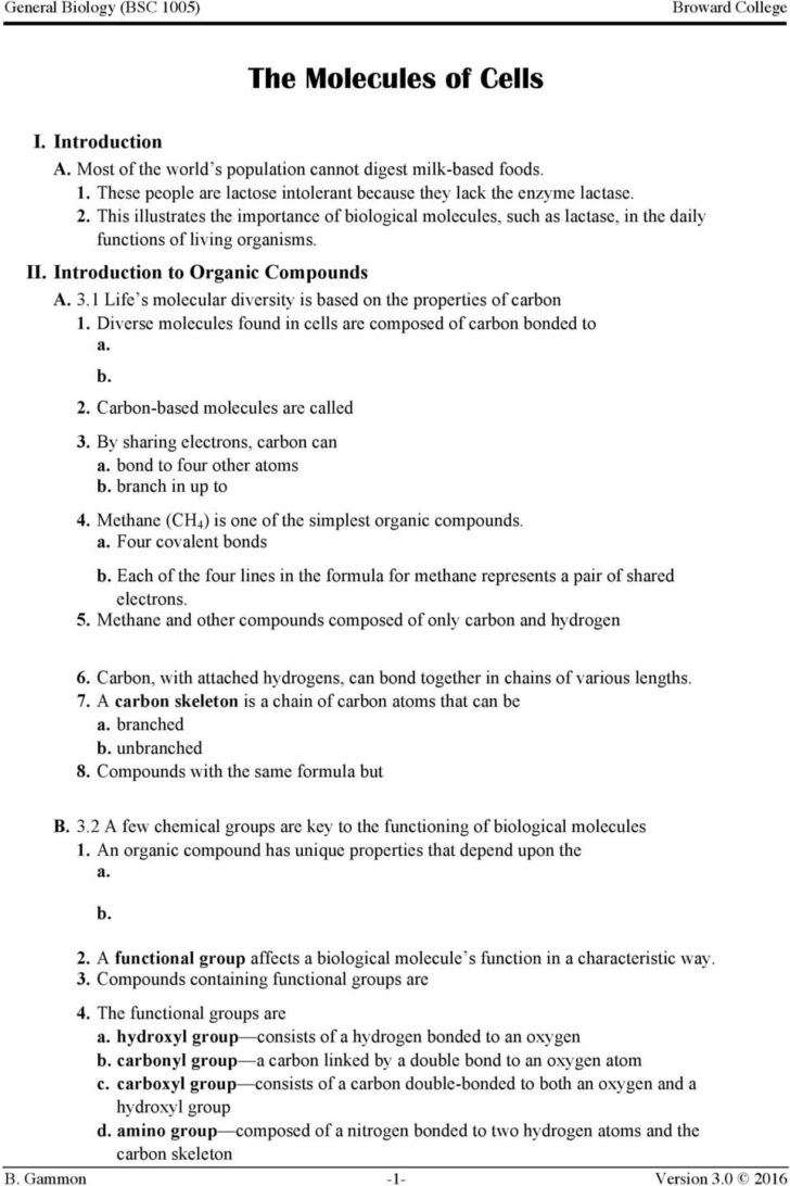 Biology 2 3 Carbon Compounds Worksheet Answers