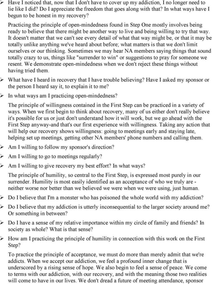 The Narcotics Anonymous Step Working Guide  Pdf