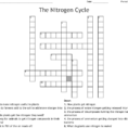 The Nitrogen Cycle Crossword  Word
