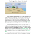 The Nitrogen Cycle Student Worksheet