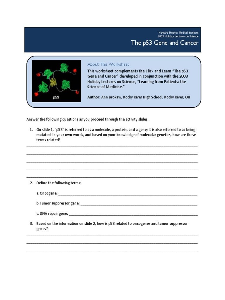 The P53 Gene And Cancer Student Worksheet Answers