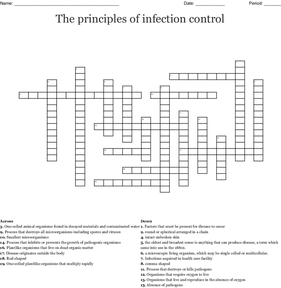The Principles Of Infection Control Crossword Word db excel com