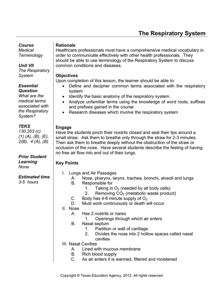 The Respiratory System