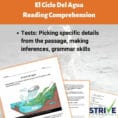 The Ter Cycle Reading Comprehension Worksheet  Spanish Version
