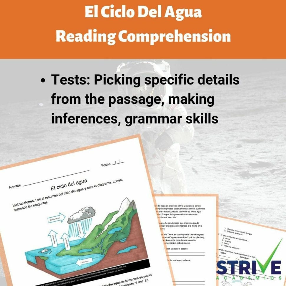 The Ter Cycle Reading Comprehension Worksheet  Spanish Version