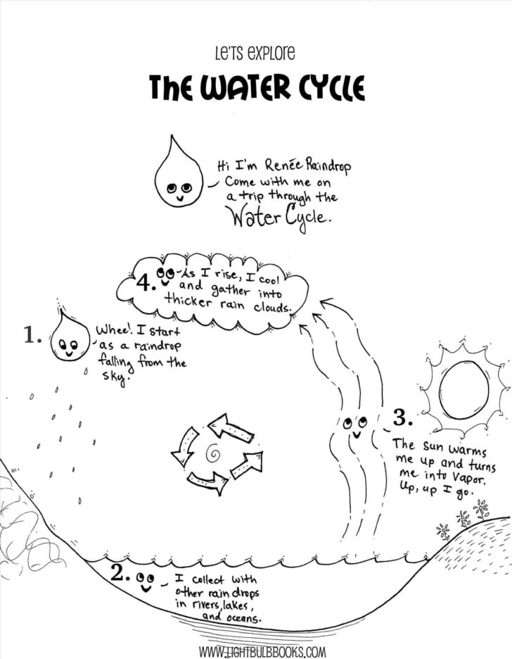 the-water-cycle-worksheet-answer-key-db-excel
